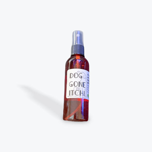 Dog Gone Itch For Dogs